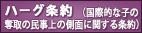 ハーグ条約